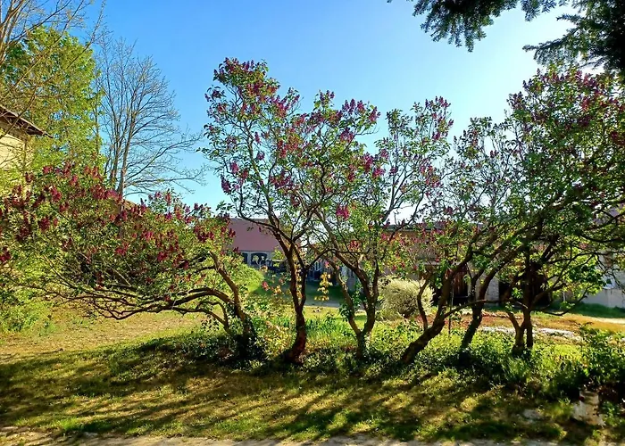 Parkwohnung Im Kunstgut * Krahne