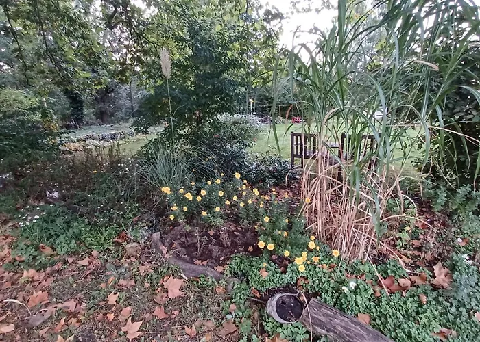 Parkwohnung Im Kunstgut *